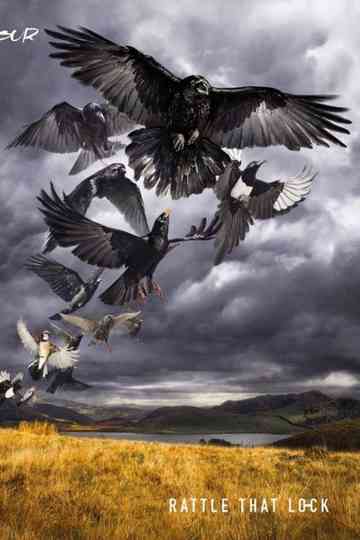 David Gilmour - Rattle That Lock Poster