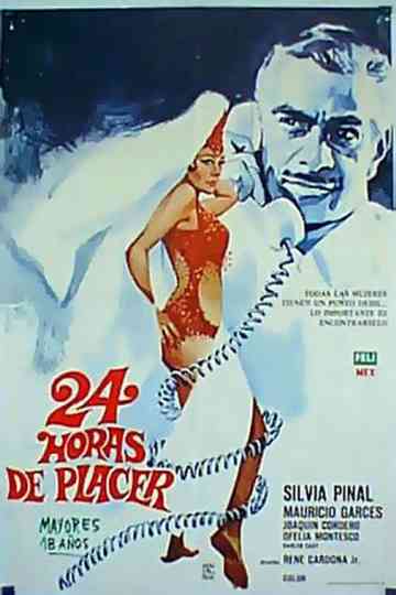 24 horas de placer Poster