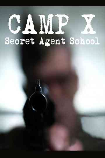 Camp X poster