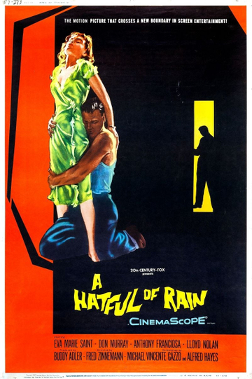 A Hatful of Rain Poster