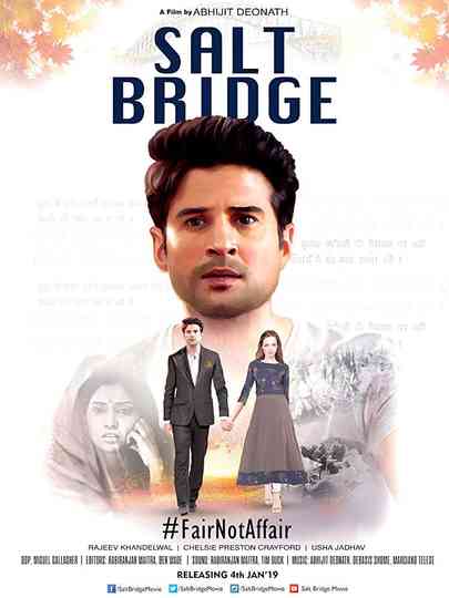Salt Bridge Poster