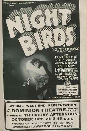 Night Birds Poster