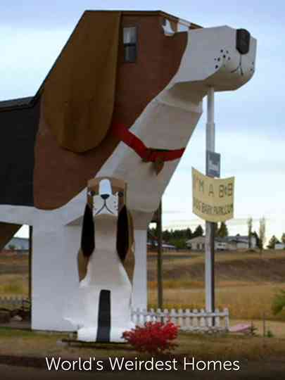 Worlds Weirdest Homes Poster