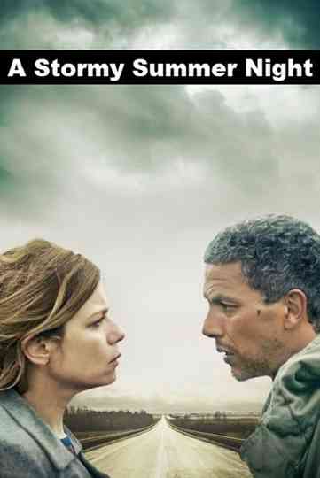 A Stormy Summer Night Poster