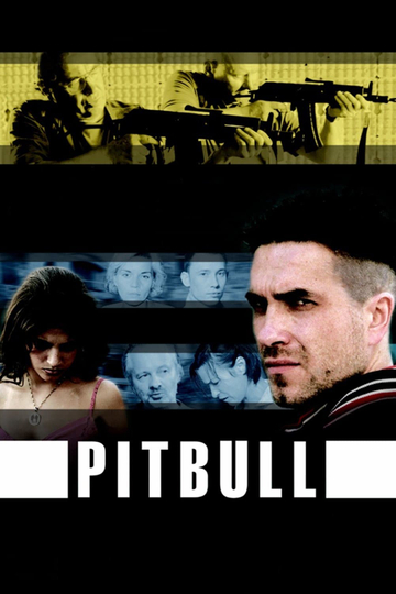 Pitbull Poster