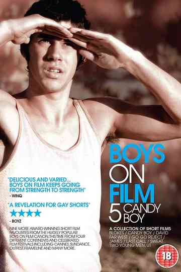 Boys On Film 5: Candy Boy Poster
