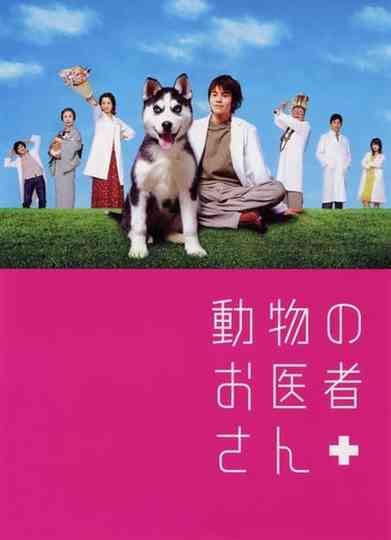 Animal Doctor Poster