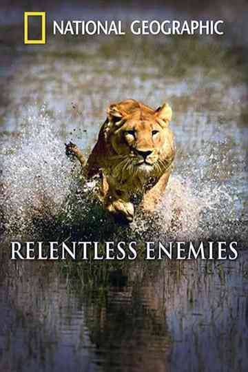 Relentless Enemies: Lions and Buffalo Poster