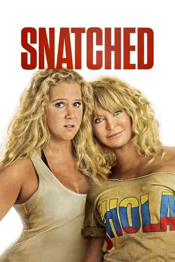 Snatched poster