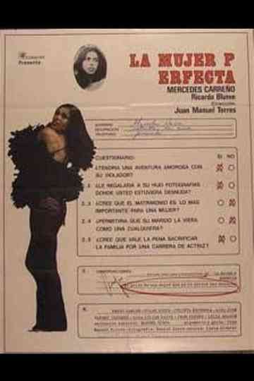 The Perfect Woman Poster