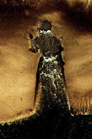 American Falls Poster