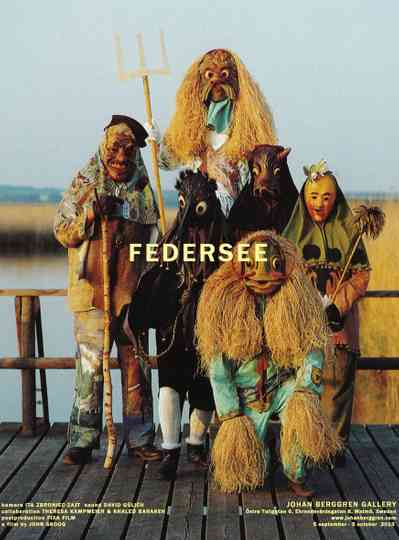 Federsee Poster
