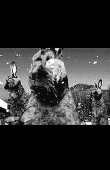 The Whisky Chasers Poster