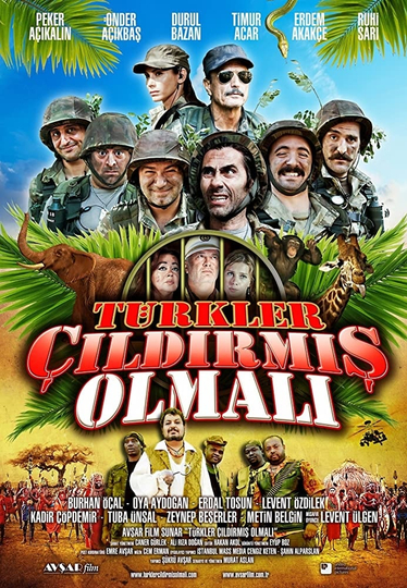 Türkler Çıldırmış Olmalı Poster