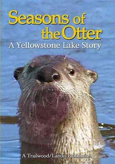 Seasons of the Otter Poster