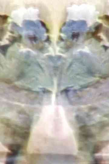 Better than Ever Poster