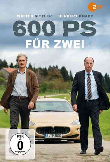 600 PS für zwei Poster