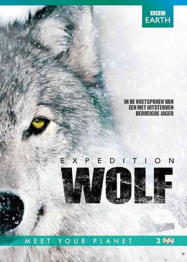BBC Earth - Expedition Wolf Poster