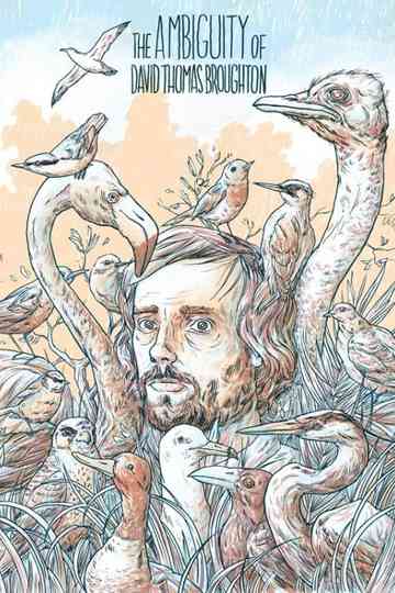 The Ambiguity of David Thomas Broughton Poster