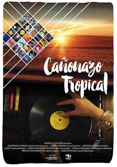 Tropical Hits Poster