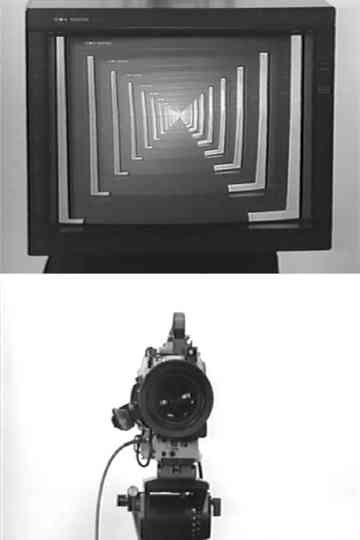 Observer / Observed Poster