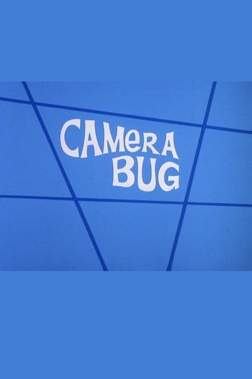 Camera Bug