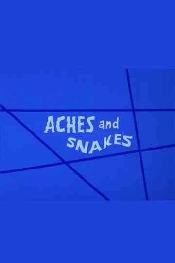 Aches and Snakes Poster