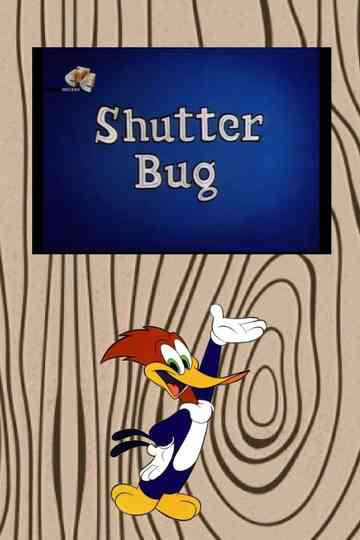 Shutter Bug Poster