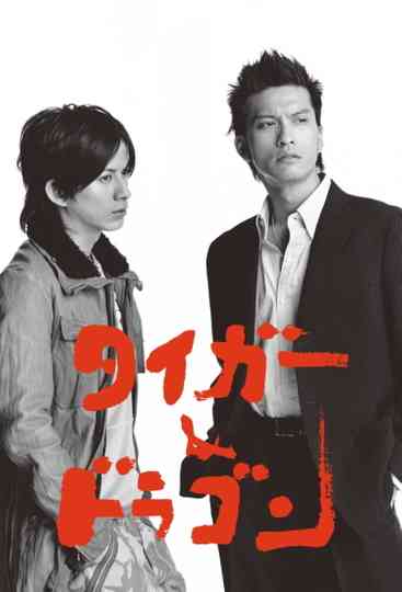 Tiger and Dragon Poster