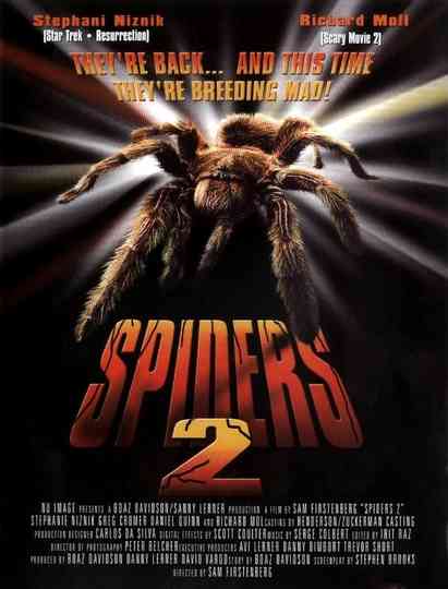 Spiders Collection Poster
