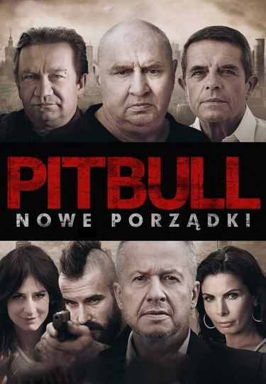 Pitbull: Public Orders Poster