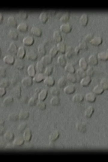 Let Me Count the Ways 109876