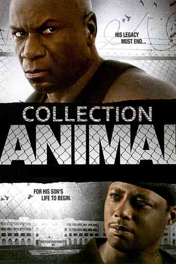 Animal Collection Poster