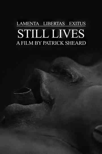 Still Lives Poster