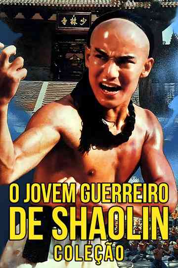 The Young Hero of Shaolin Collection Poster