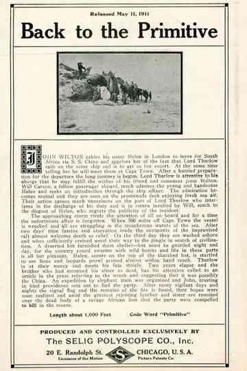 Back to the Primitive Poster