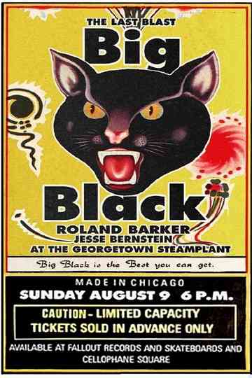 Big Black - The Last Blast Poster