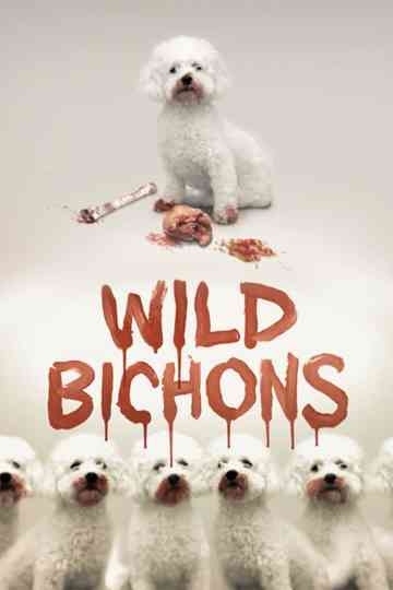 Wild Bichons Poster
