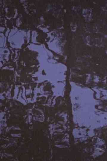 Trees in the River Kent OH Poster