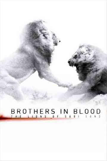 Brothers in Blood: The Lions of Sabi Sand Poster