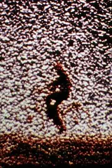 Remains to Be Seen Poster