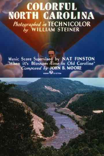 Colorful North Carolina Poster