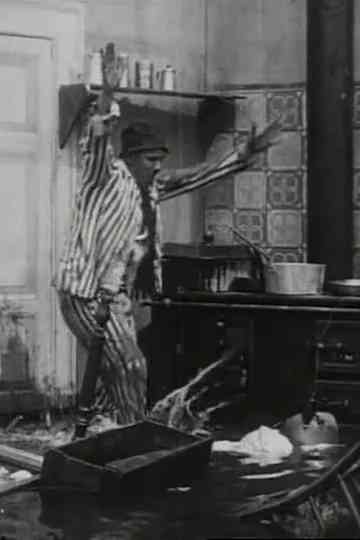 Totò senz'acqua Poster