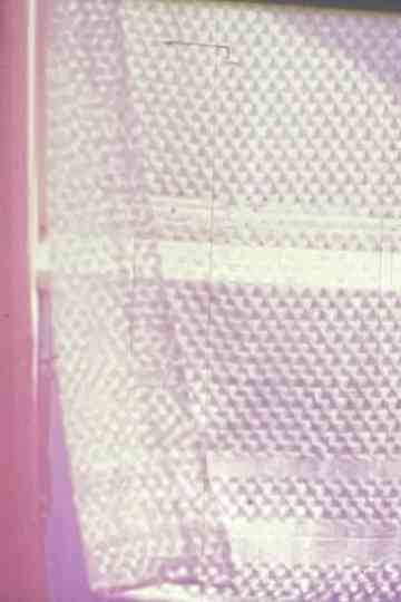 Wind Variations Poster