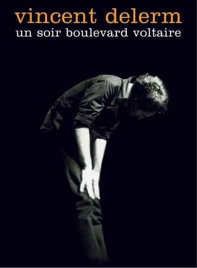 Vincent Delerm - Un soir boulevard Voltaire Poster