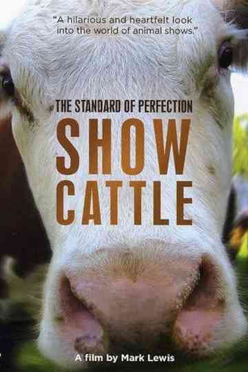 The Standard of Perfection: Show Cattle Poster