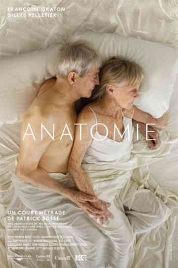 Anatomie Poster