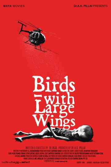 Valiya Chirakulla Pakshikal Poster