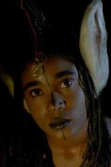 Fary the Donkey Poster