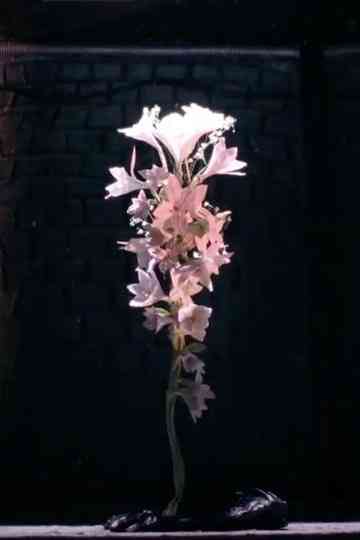 A brightening life Poster